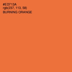 #ED713A - Burning Orange Color Image